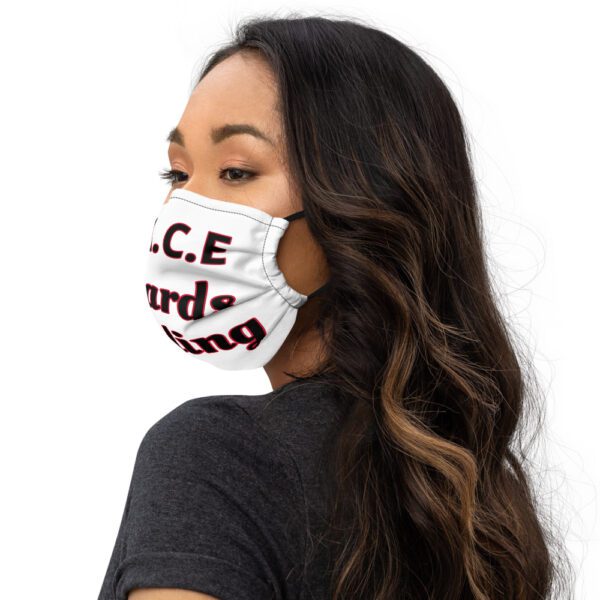 Towards Healing Premium face mask White - Image 3